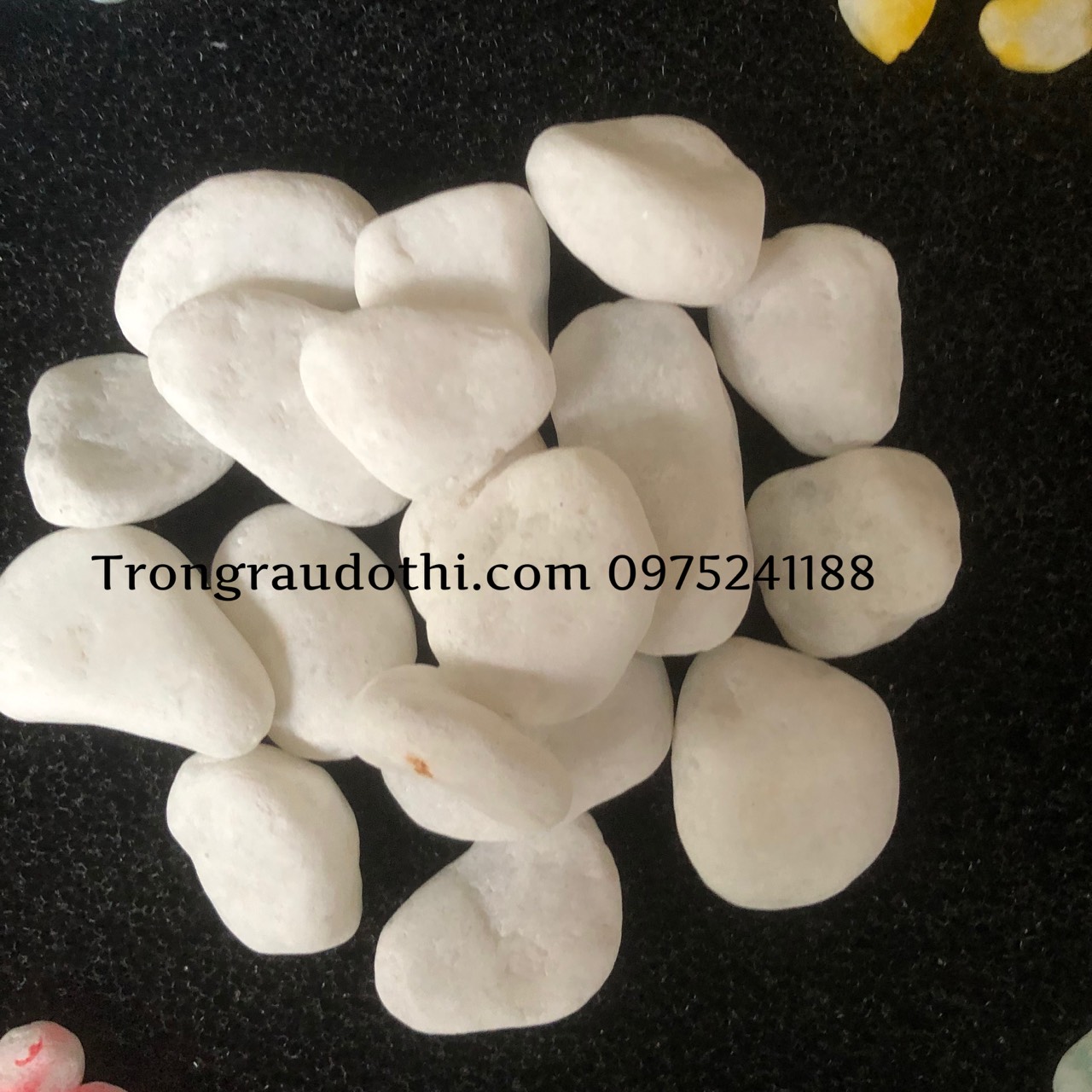 Đá sỏi trắng trang trí sân vườn, tiểu cảnh - Ảnh 1